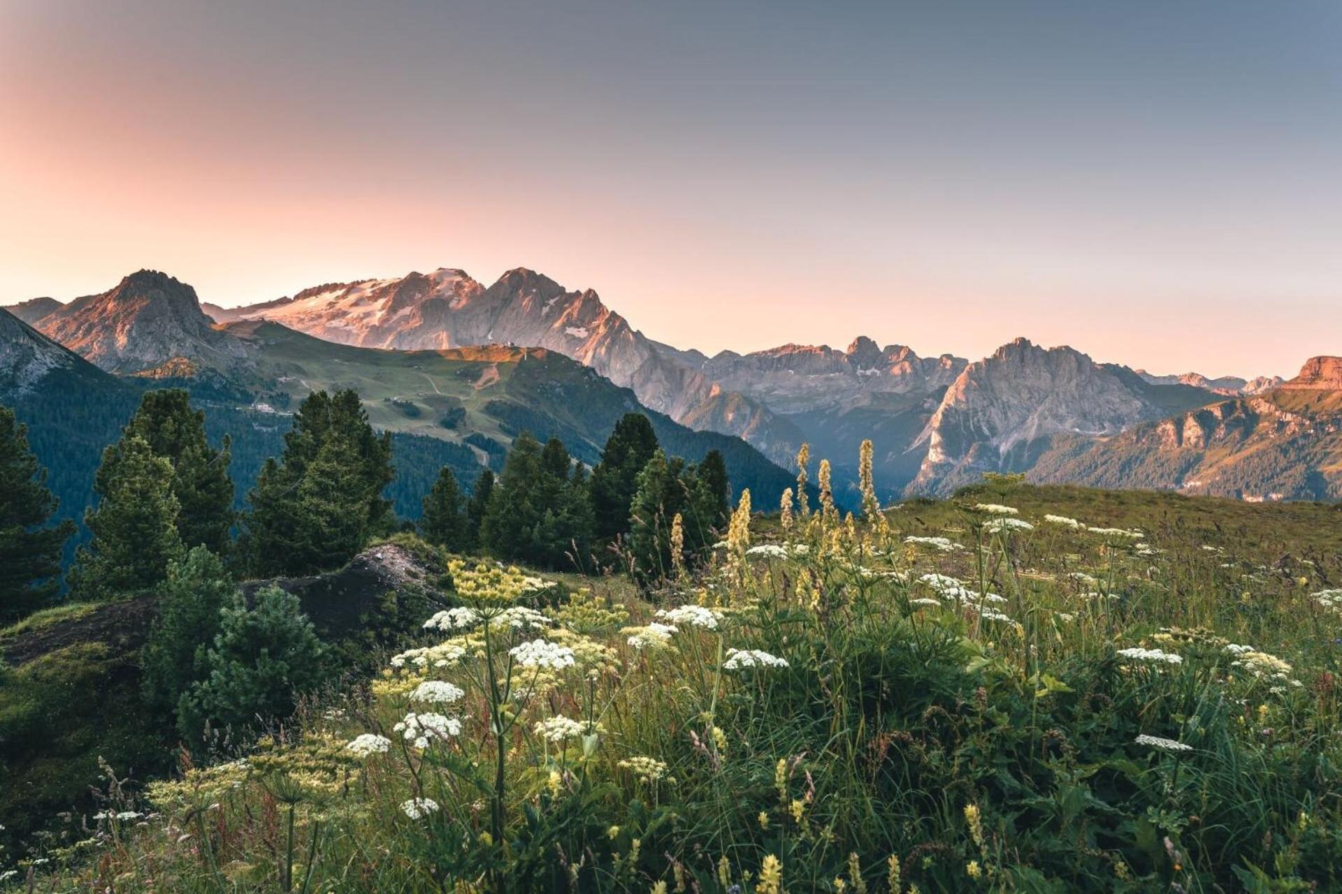 B&B Cesa Planber Mountain View Bike Friendly Canazei Bagian luar foto