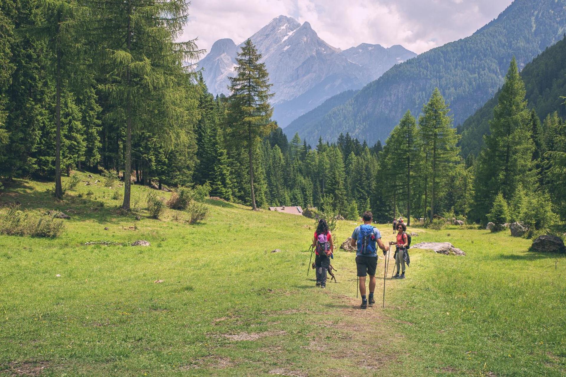B&B Cesa Planber Mountain View Bike Friendly Canazei Bagian luar foto
